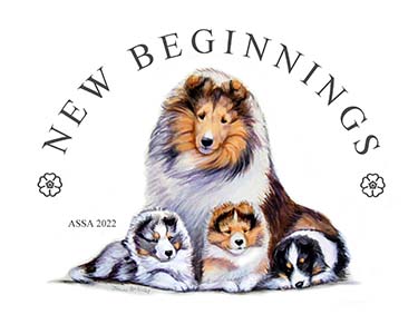 ASSA 2022 Gray Summit Logo