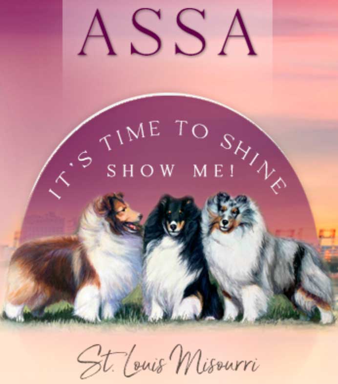 ASSA 2024 Gray Summit Logo