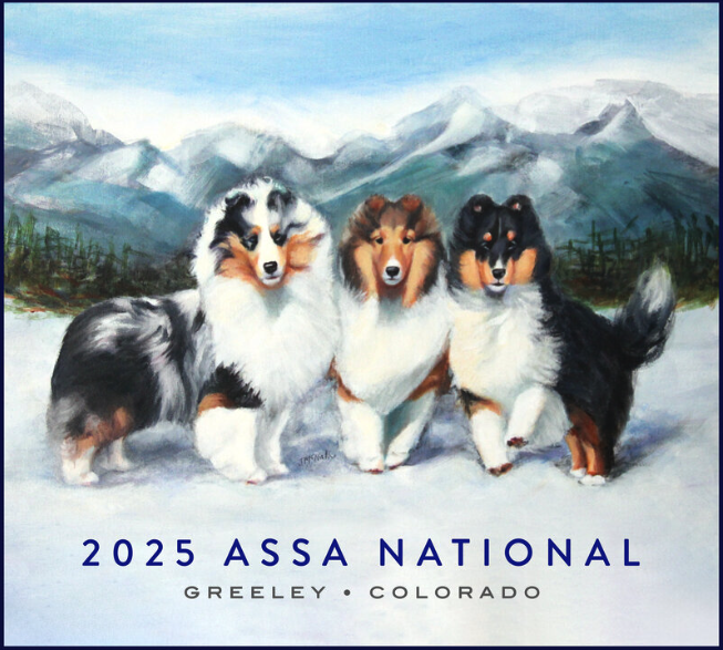 ASSA 2025 Colorado Springs Logo