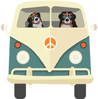 BMDCA 2023 Sacramento Logo