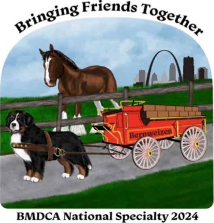 BMDCA 2024 Gray Summit Logo