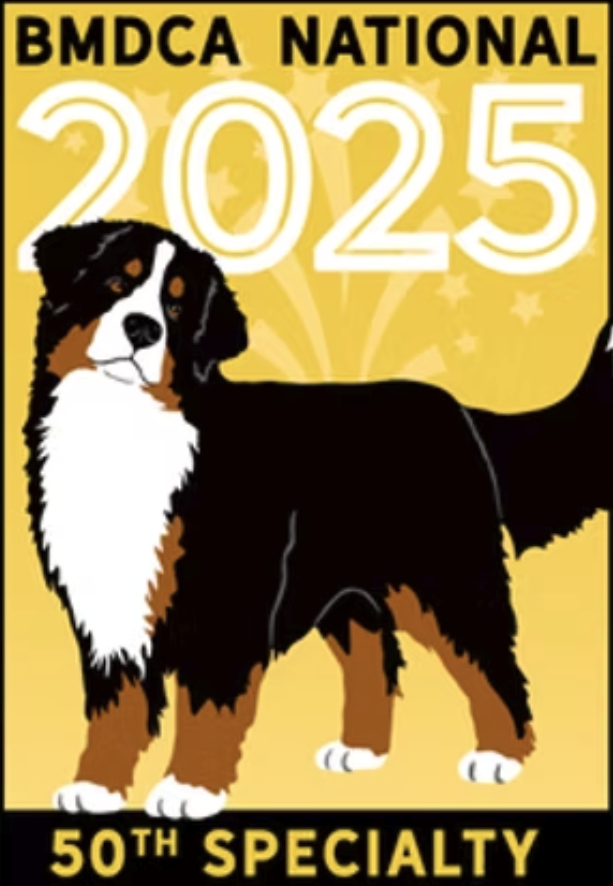 BMDCA 2025 Gettysburg Logo