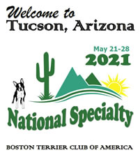 BTCA 2021 Tucson Logo