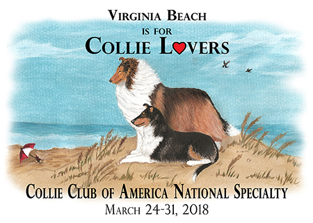 CCA 2018 Virginia Beach Logo