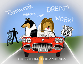 Collies