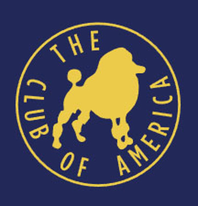 PCA 2019 Gray Summit Logo