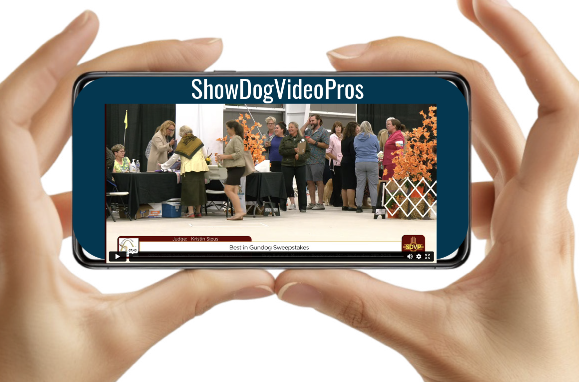 Watch Online